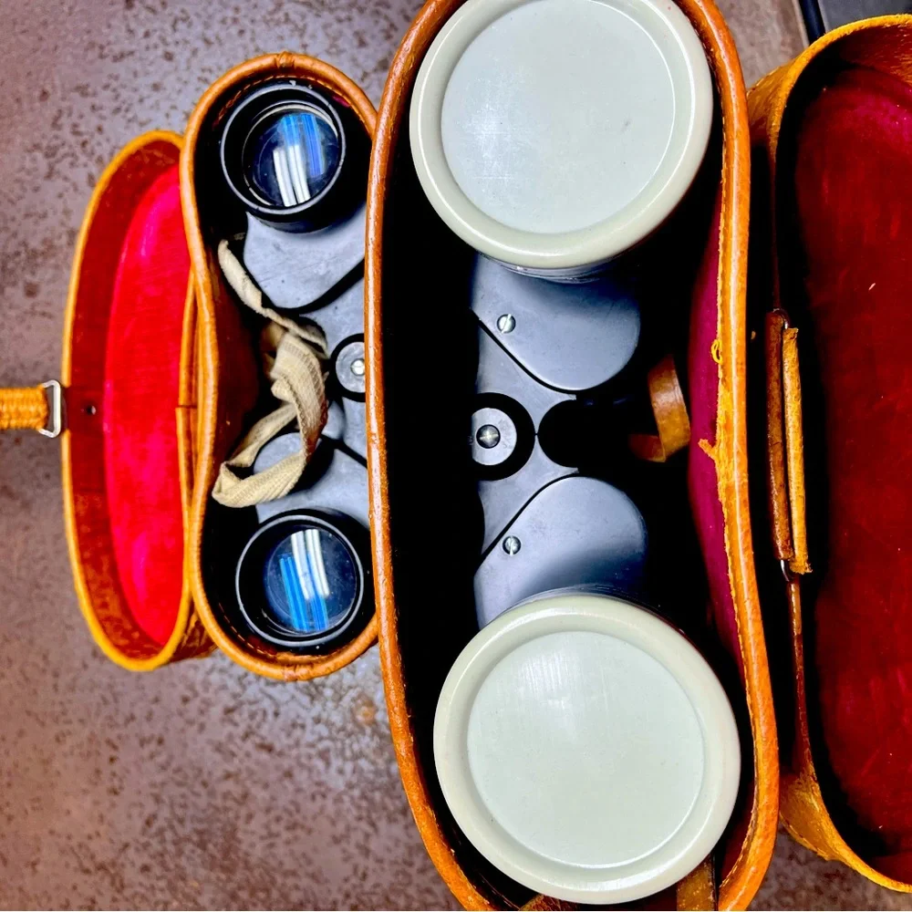 Vintage binoculars